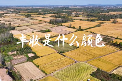 春種一粒粟，秋收萬顆子。多彩的豐收季，只愿五谷豐登，百事興旺3.240_400.jpg