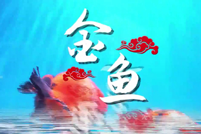 金魚歡躍，流光溢彩！_400.jpg